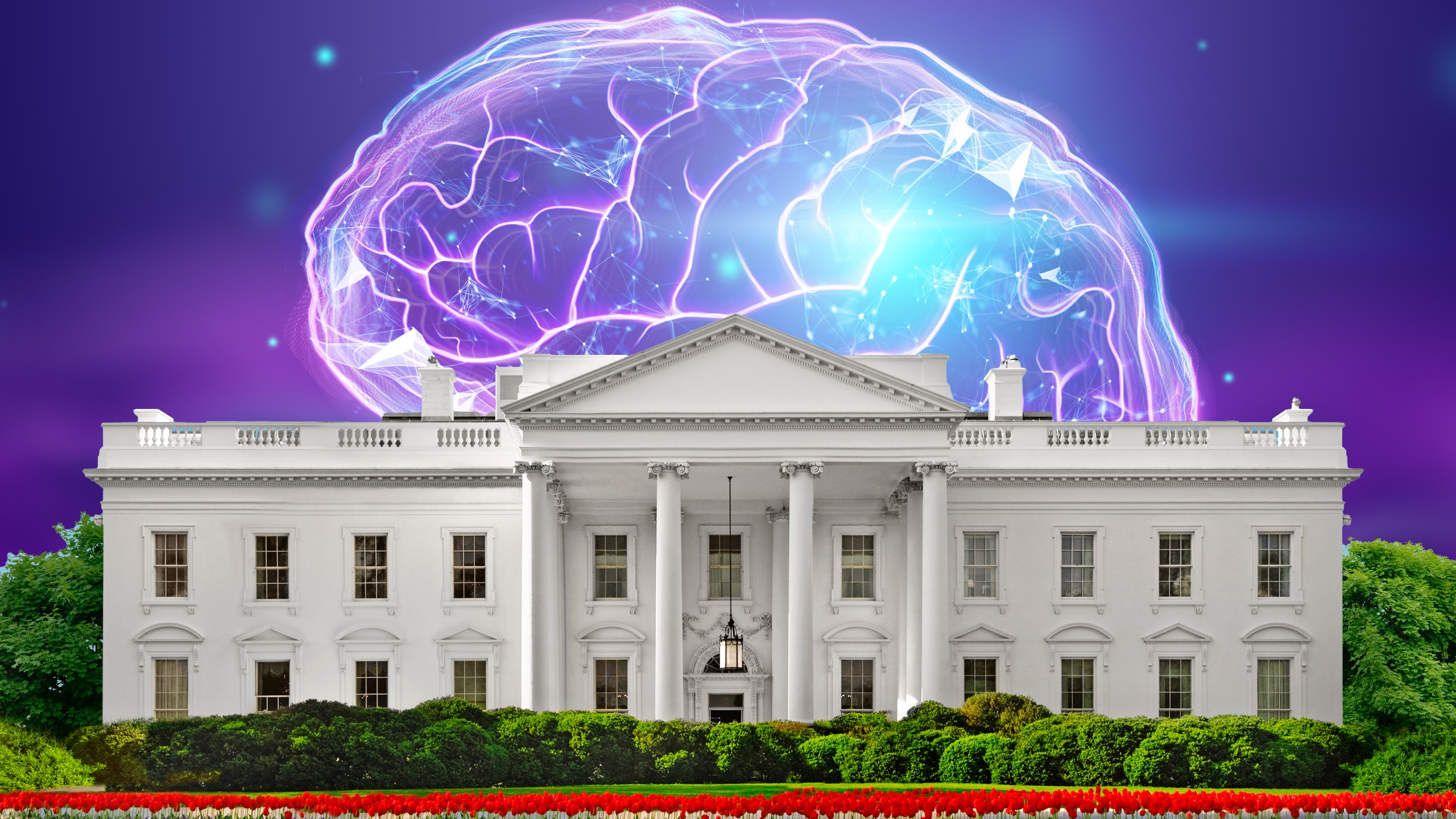 White House Takes Steps to Study AI Risks sounded PlatoBlockchain Data Intelligence. Vertical Search. Ai.