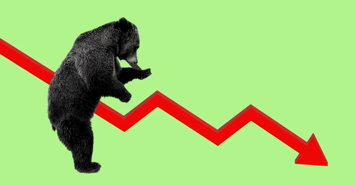 بازار خرس