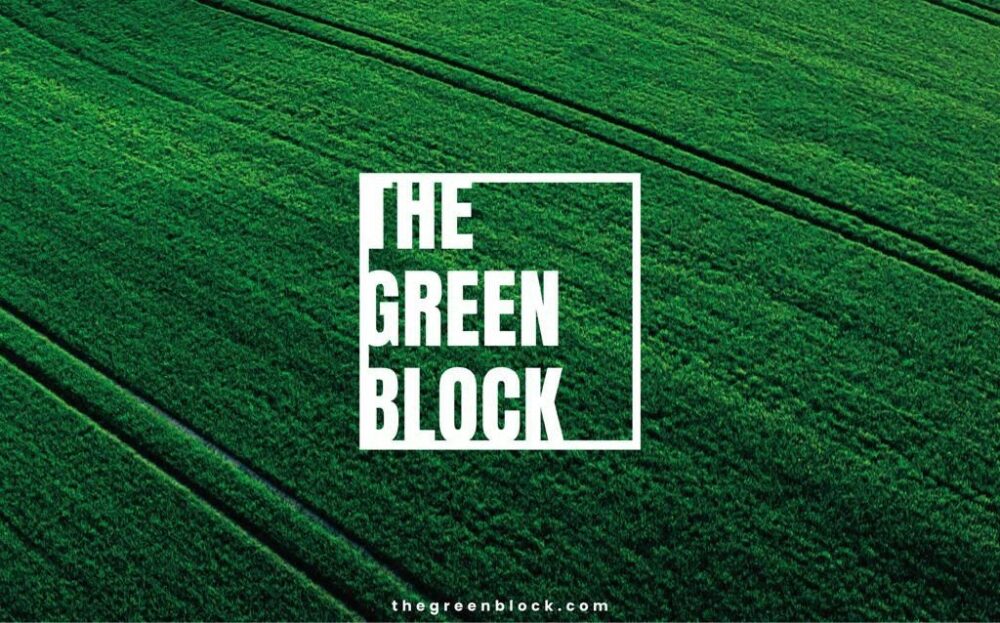 Crypto Oasis Ventures e Roland Berger lançam oficialmente “The Green Block” – um think tank e plataforma de lançamento para Web3 com foco na sustentabilidade e tecnologia de IA Blockchain PlatoBlockchain Data Intelligence. Pesquisa vertical. Ai.
