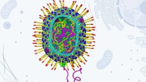 וירוס מגעיל שמדביק חיידקים יכול להיות המפתח לטיפולים גנים משופרים