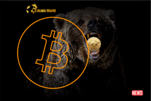 Bears가 $ 25K를 목표로하는 Bitcoin 가격 하락 지원 - BitcoinWorld