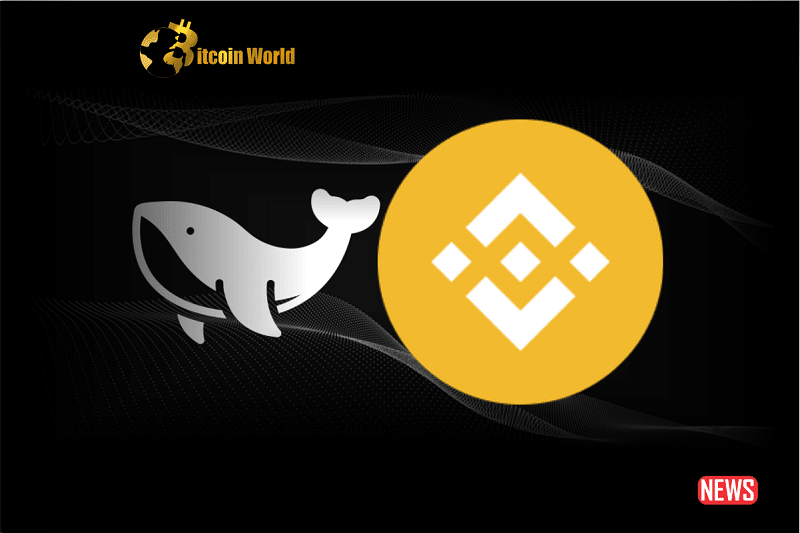 BNB Whale Sells Tokens Amidst Crypto Regulatory Crackdown - BitcoinWorld Cash Out PlatoBlockchain Data Intelligence. Vertical Search. Ai.