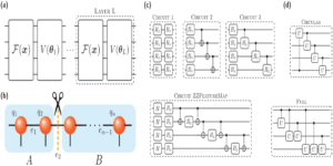Produkcja entropii splątania w kwantowych sieciach neuronowych