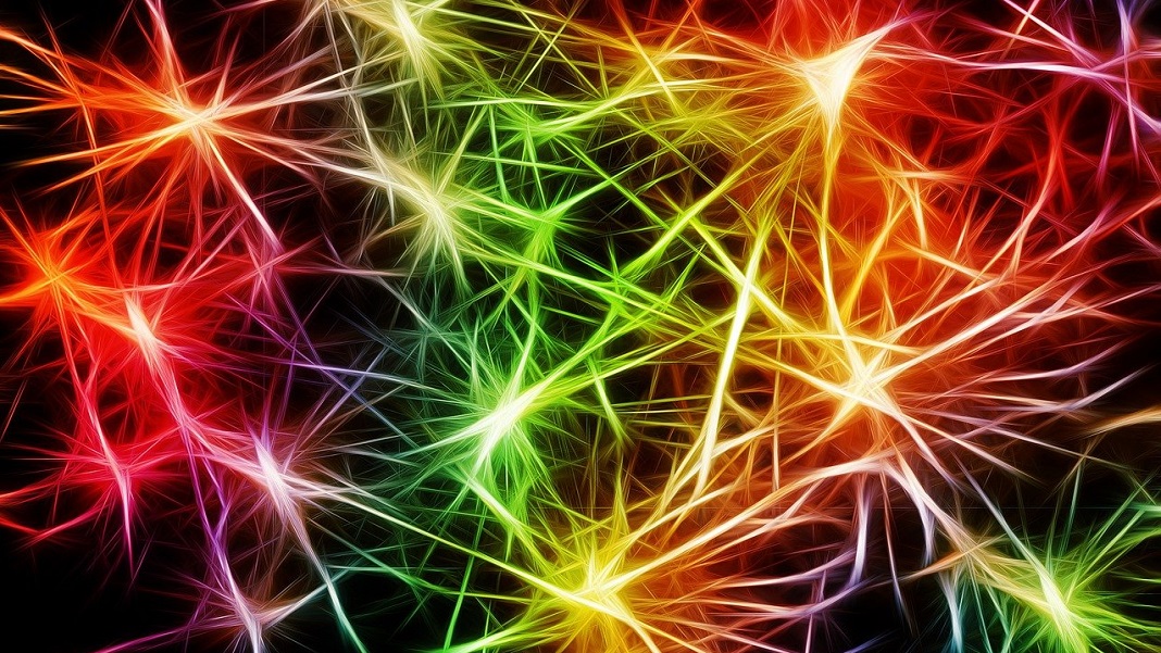 هز الدماغ بلطف بالتيارات الكهربائية يمكن أن يعزز الوظيفة الإدراكية وذكاء بيانات PlatoBlockchain. البحث العمودي. منظمة العفو الدولية.