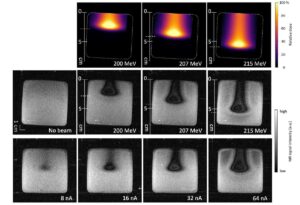 MRI shows potential for verification of proton beam range – Physics World