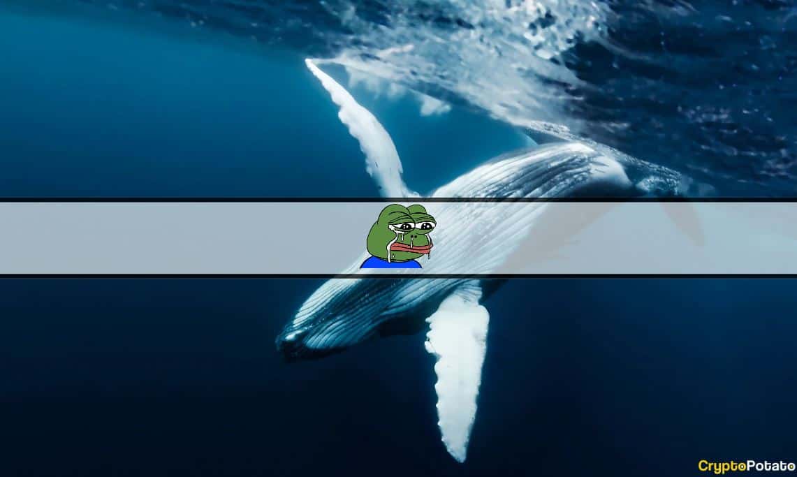 随着 Meme 币继续流失柏拉图区块链数据智能，PEPE 鲸鱼大幅亏损。垂直搜索。人工智能。