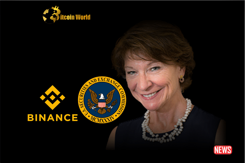 Profesor Carol Alexander Menyoroti Potensi Hasil Pertarungan SEC AS dengan Binance - BitcoinWorld