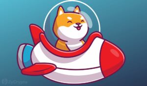Shiba Inu, Rocket Pond'un 0.001 Dolarlık SHIB Fiyatının Ortaya Çıkması Ortasında Büyük Metaverse Güncellemeleriyle Hız Topluyor