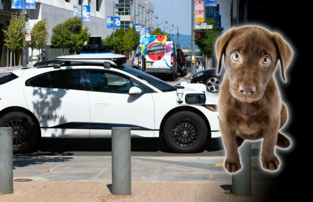 A Waymo önvezető autó megölt egy kutyát San Franciscóban