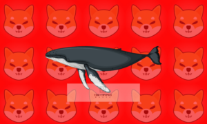 Whales Scoops Up $545K Worth Of Shiba Inu Ecosystem Tokens