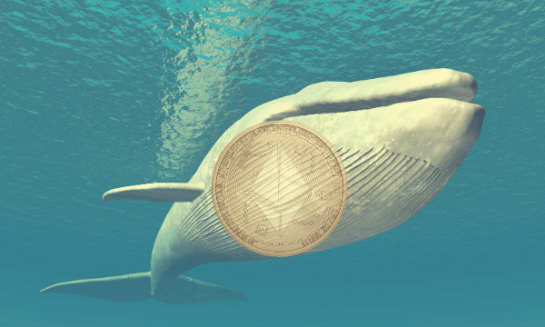 Bitcoin Whale and Ethereum ICO Member Deposit $250 Million Holdings To Exchanges Stash PlatoBlockchain Data Intelligence. Vertical Search. Ai.
