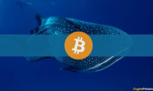Bitcoin Whale Balance rammer største månedlige fald: Glassnode