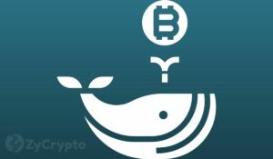 Bitcoin Whales Make Up A Large Chunk Of Exchange Inflows, Reaching A New High Along The Way
