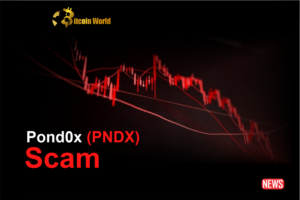 Comunidade de criptomoedas atacada pelo golpe PNDX: popular influenciador criptográfico Pauly acusado de fraude