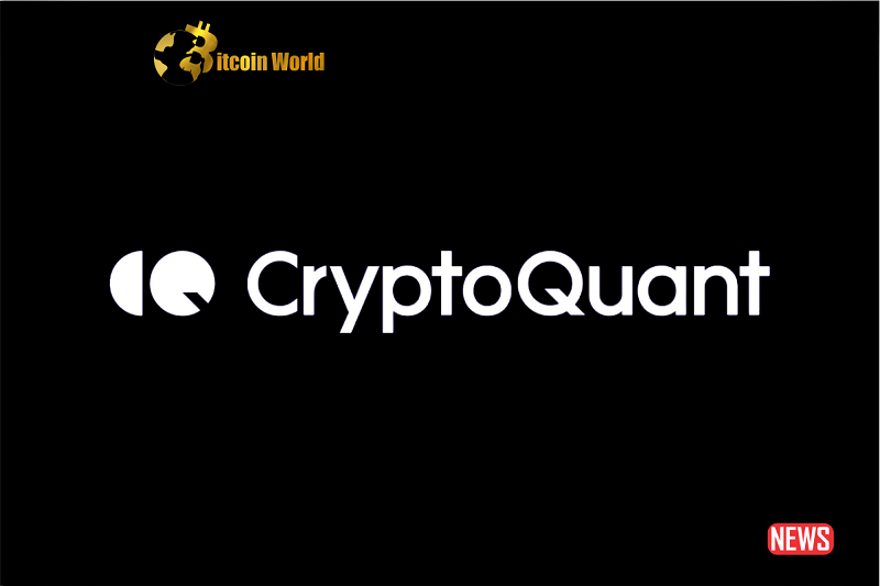 CryptoQuantがシリーズAでさらに6.5万ドルを調達