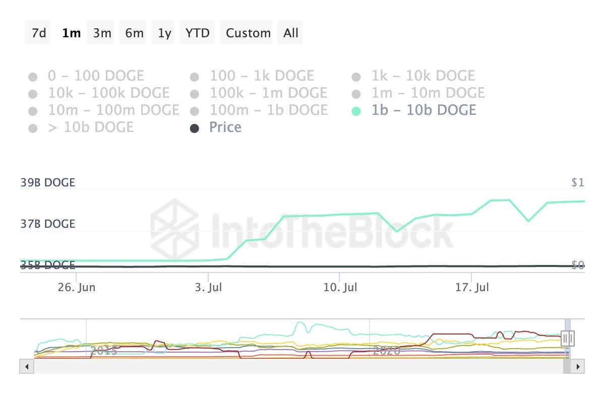 Le balene Dogecoin raccolgono monete per un valore di oltre 200 milioni di dollari in meno di un mese in un contesto di prezzi rialzisti Outlook PlatoBlockchain Data Intelligence. Ricerca verticale. Ai.