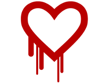 心血虫子| 许多服务器容易受到 Heartbleed 攻击