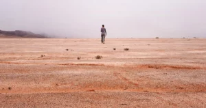 熾烈な砂漠で微生物の「地殻」が示す、生命がいかにして大地を飼いならしたか | クアンタマガジン