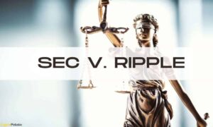 XRP lại gặp rắc rối? Kháng cáo tín hiệu của SEC trong trường hợp Ripple