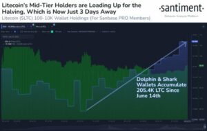 Cá mập Litecoin mua hơn 200,000 LTC trước halving vào thứ Tư