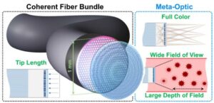 Meta-optical fibres downsize endoscopes – Physics World
