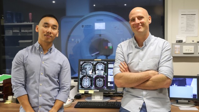Estudio de resonancia magnética desafía nuestro conocimiento de cómo funciona el cerebro humano – Physics World