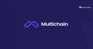 Multichain stopt met diensten na abnormale activabeweging - Investor Bites