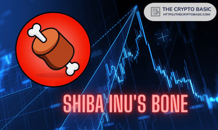 Shiba Inu: BONE, Shibarium Lansmanı Yaklaşırken 50 Günde Yaklaşık %14 Arttı