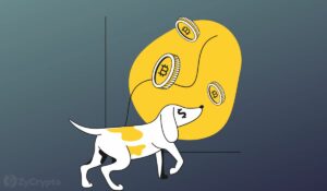 تسلا بیت کوین را بوت می کند اما رمزارز Dogecoin را به عنوان یک وسیله پرداخت حفظ می کند