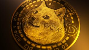 Tesla Ditches Bitcoin Reference in Payment Code, Spares Doge