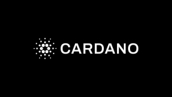 cardano blockchain austin találkozó