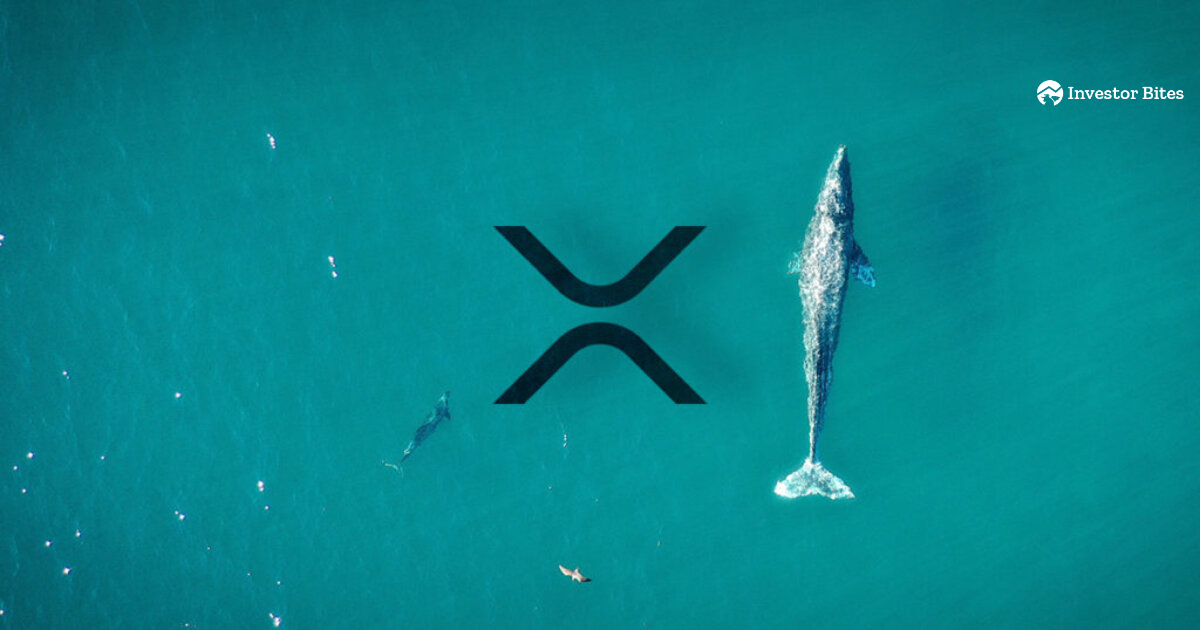 Whale's Intriguing XRP Activities Raise Suspicions: Insider Trading? - Investor Bites Market News PlatoBlockchain Data Intelligence. Vertical Search. Ai.