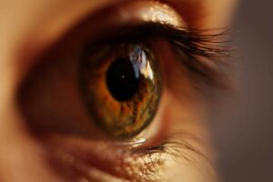 Worldcoin lancerer token på Mainnet, planlægger at implementere 1,500 øjeæblescanningskugler