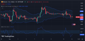 Bitcoin Price Analysis 16/08: BTC's Resilience and Divergence Defy Norms Amid Market Swings - Investor Bites