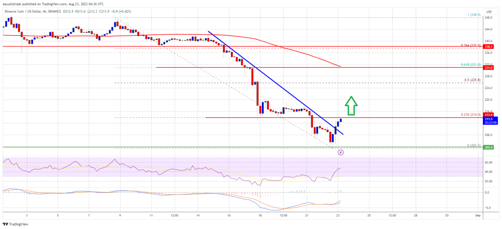 BNB Price Prediction: Why Bulls Could Aim Recovery To $230