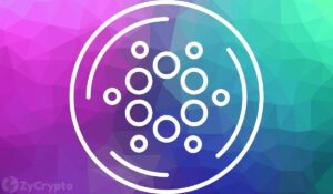 'Cardano Is Here To Stay,' Says Creator Charles Hoskinson As ADA Continues To Unravel
