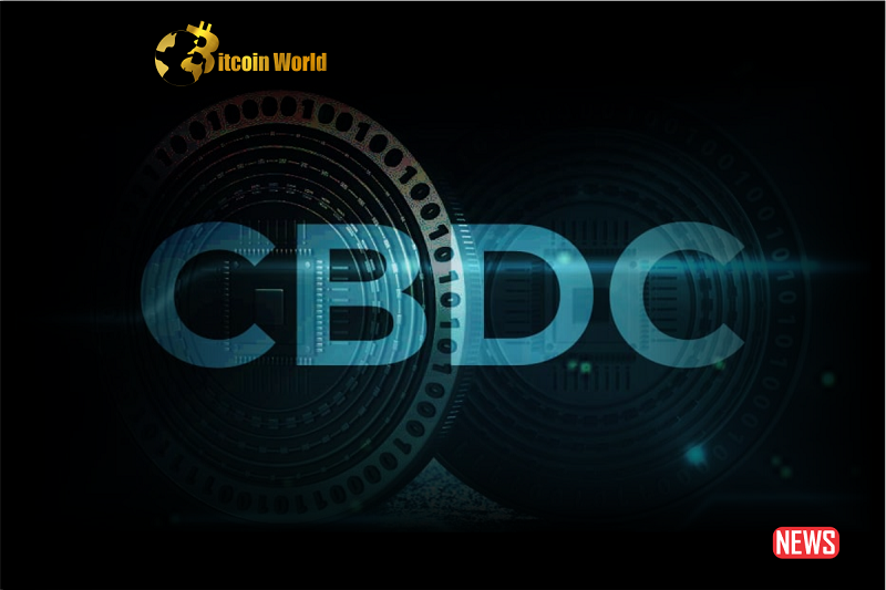CBDC'er - Det ultimative værktøj til den globale økonomi eller en betydelig fare for finansiel stabilitet