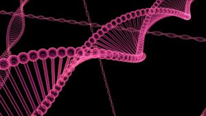 Onderzoek naar elektrogenetica wijst uit dat we op een dag onze genen kunnen beheersen met wearables