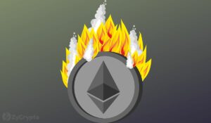 Ethereum Walvis verbrandt 2,500 ETH; Crypto Community stelt motief vragen