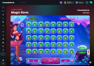 How to Play Keno Online and Offline | BitcoinChaser