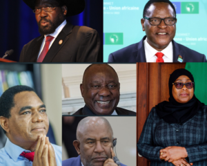 نکات کلیدی روسای جمهور آفریقا در پانزدهمین نشست بریکس