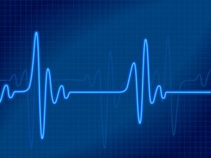 سقالة أسلاك نانوية تدعم أنسجة القلب الاصطناعية – عالم الفيزياء