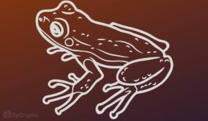 PEPE Dives 18% As Weird Token Transfers By Developers Spark Rug Pull Suspicions