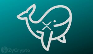 Ripple's XRP Whales Are Soaring Fast As Accumulation Accelerates — Is A Monster Bull Move Nigh?