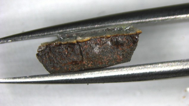 Microscope image of a sample of LK-99 held between tweezers