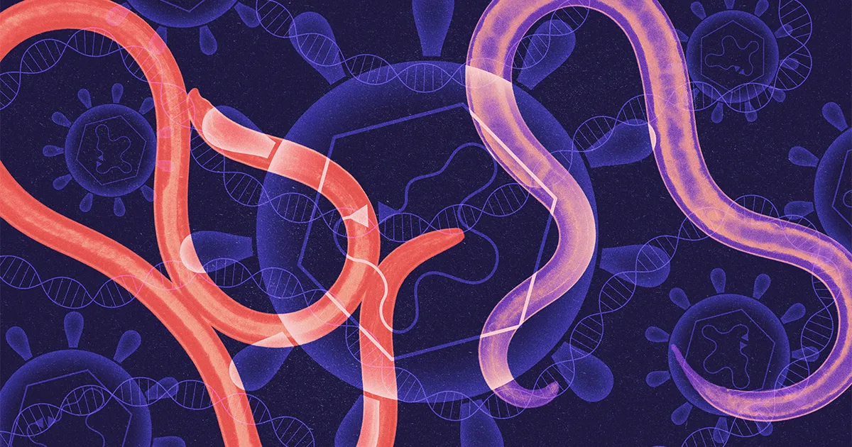 Selfish, Virus-Like DNA Can Carry Genes Between Species | Quanta Magazine worms PlatoBlockchain Data Intelligence. Vertical Search. Ai.
