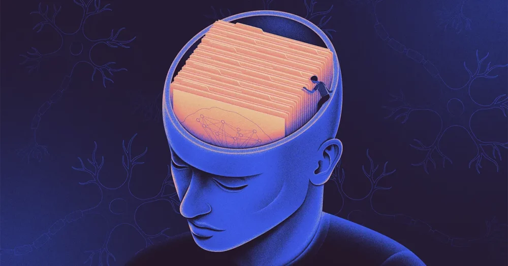 Nytten av et minne veileder hvor hjernen lagrer det | Quanta Magazine