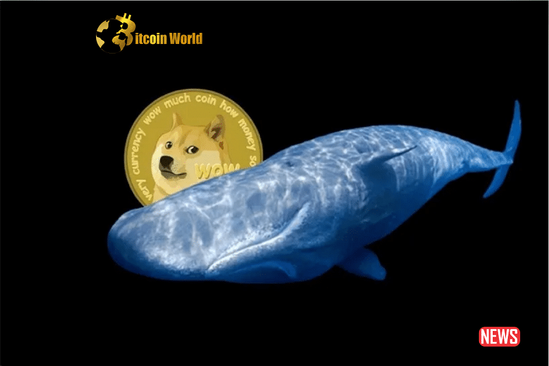 Whales Suddenly Move Over 776M Dogecoin Following DOGE Bounce – Here’s Where the Crypto Is Headed cryptocurrency investors PlatoBlockchain Data Intelligence. Vertical Search. Ai.