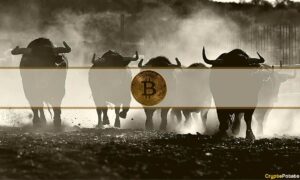 Når starter Bitcoins Bull Run? Analytiker chiper inn