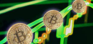 Bitcoin Advantage: How It Stands Out Amidst Rising Interest Rates, According To This Analyst - CryptoInfoNet